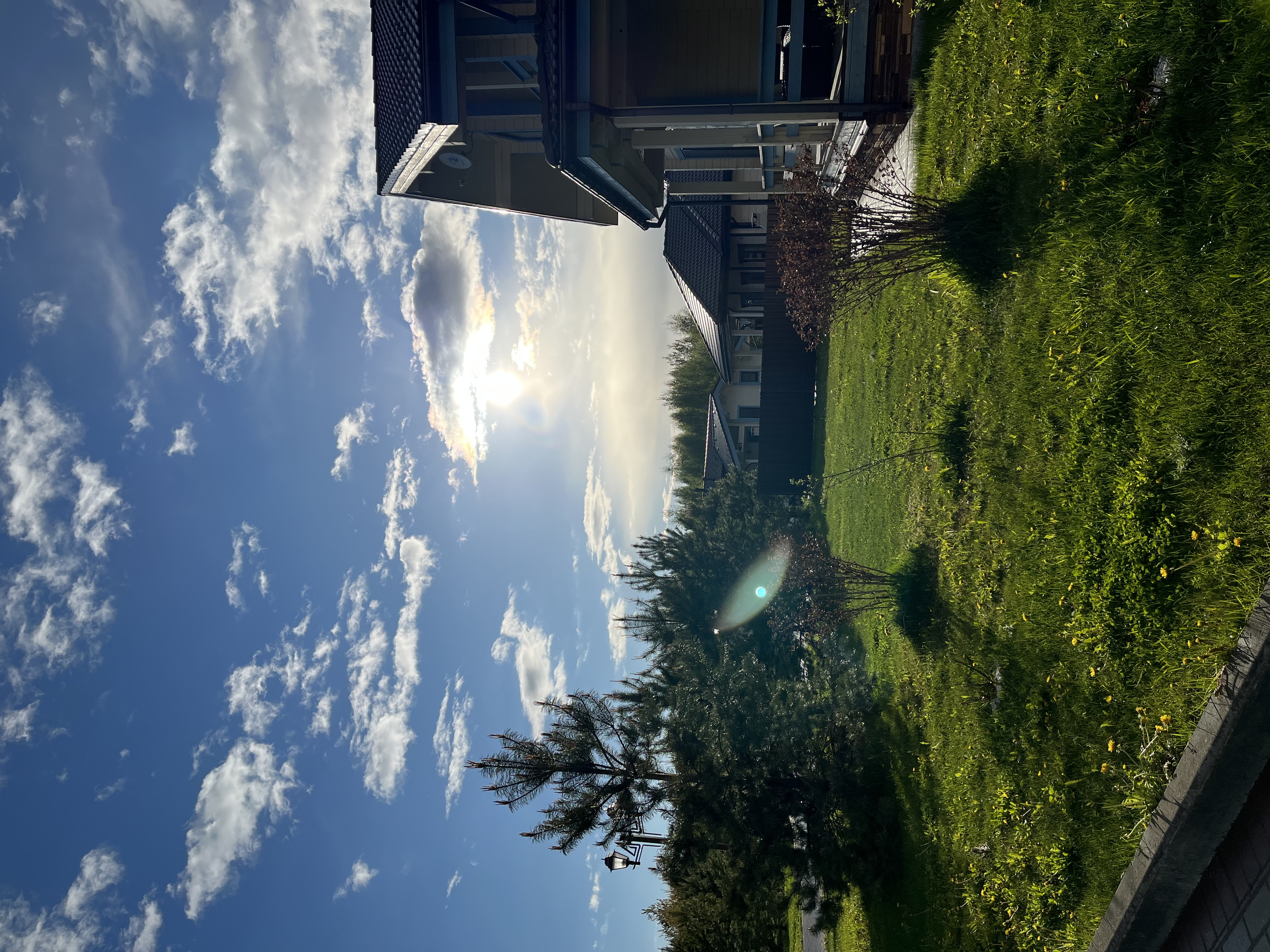 Фото Эко-отель Руза Фэмили парк