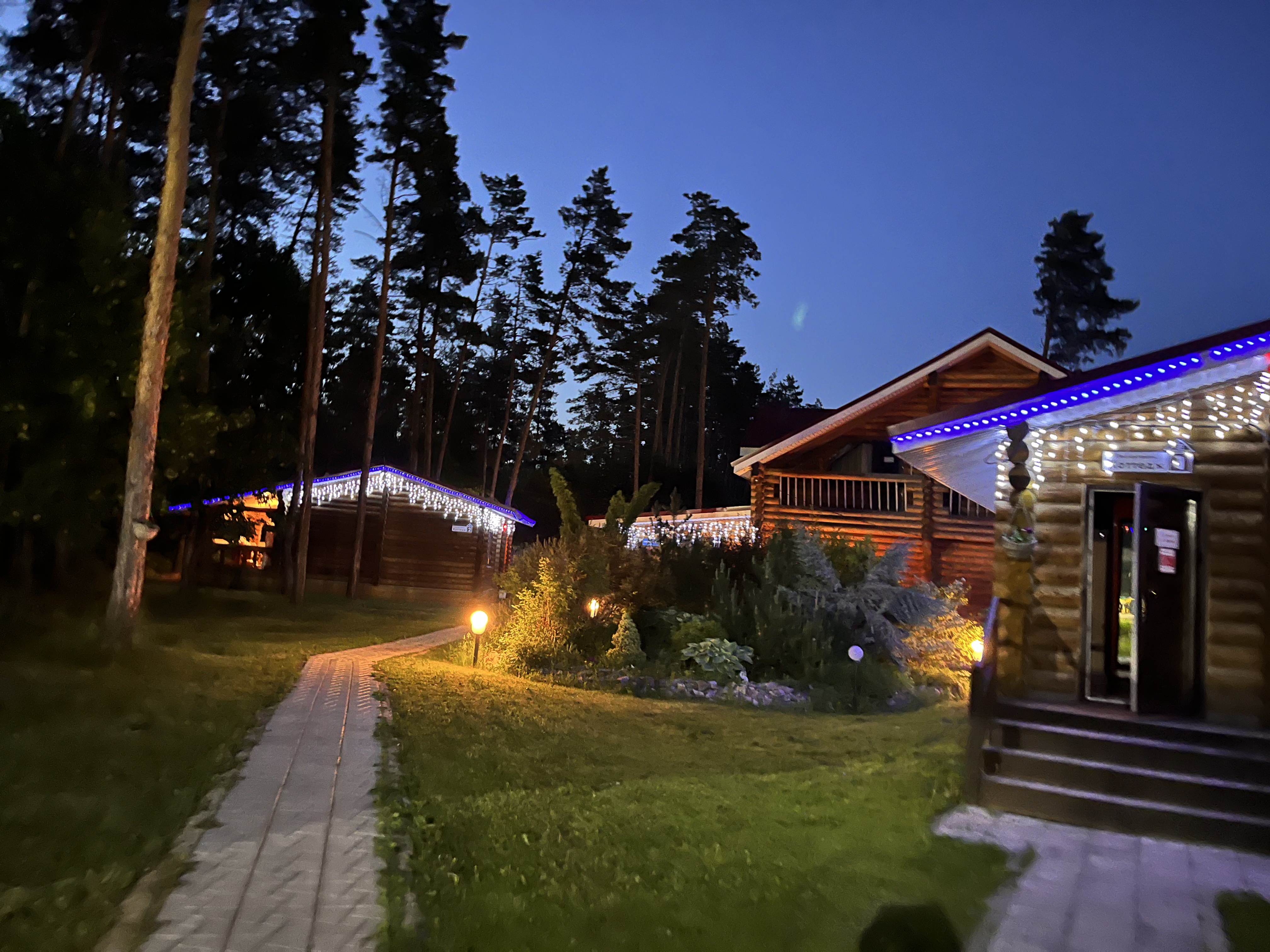 Фото Лесная гавань