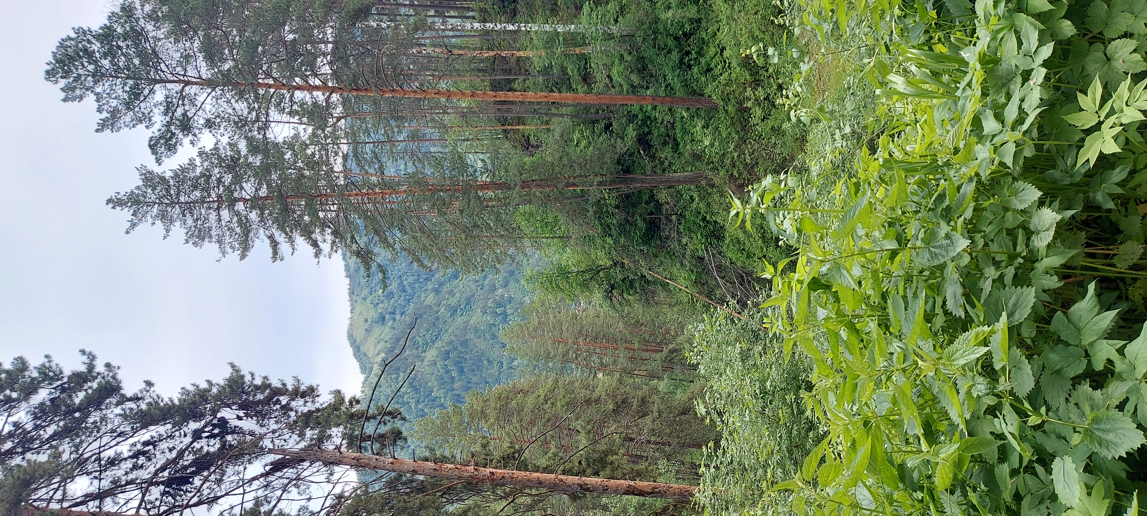 Фото Путь к себе