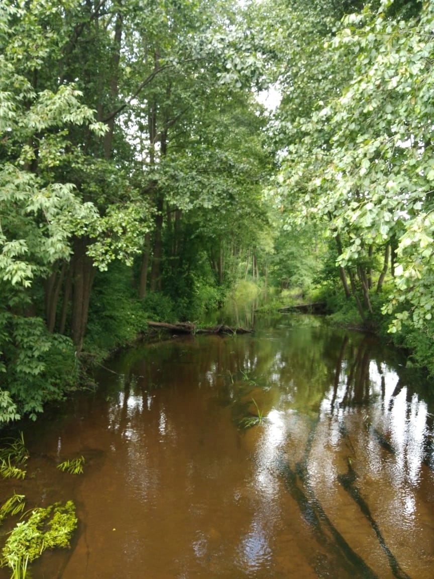 Фото Залесье