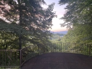 Фото Никель