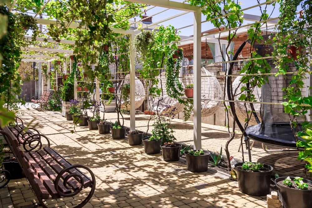 Фото Николаев двор