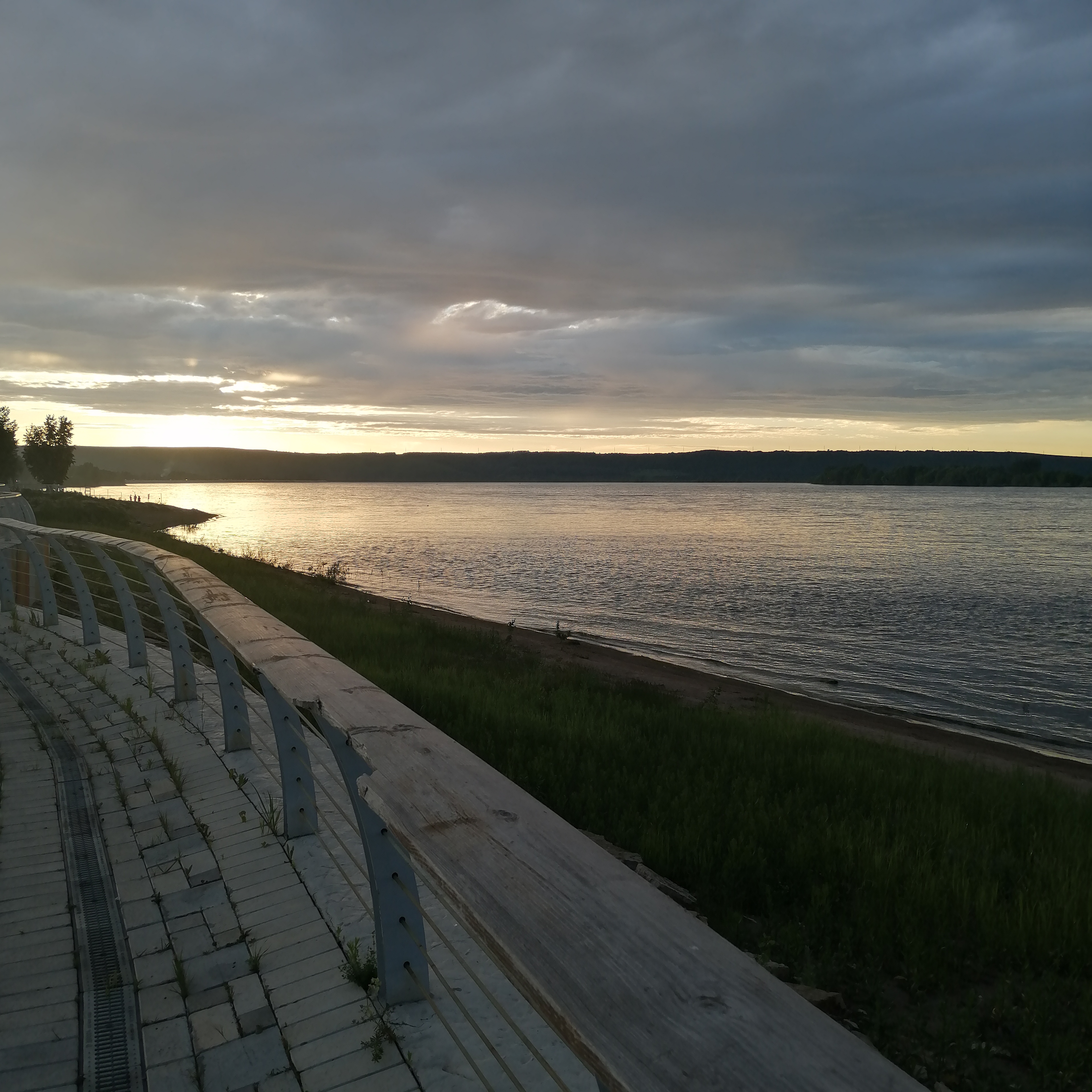 Фото Шифалы