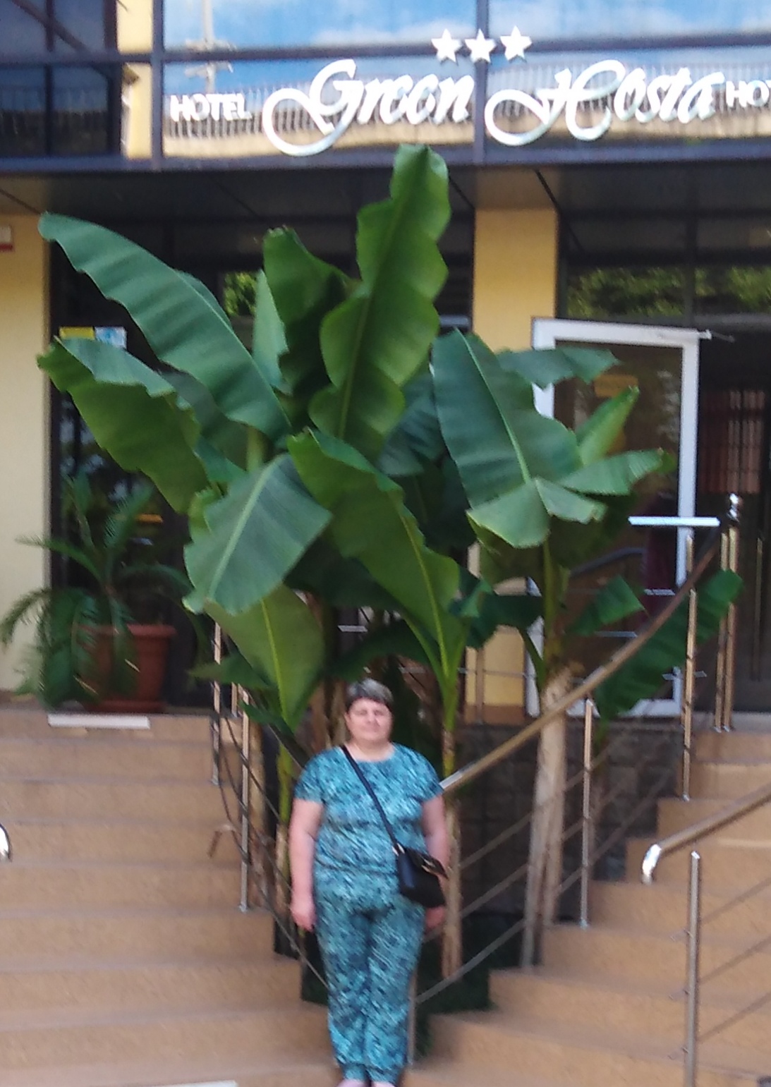 Фото Грин Хоста