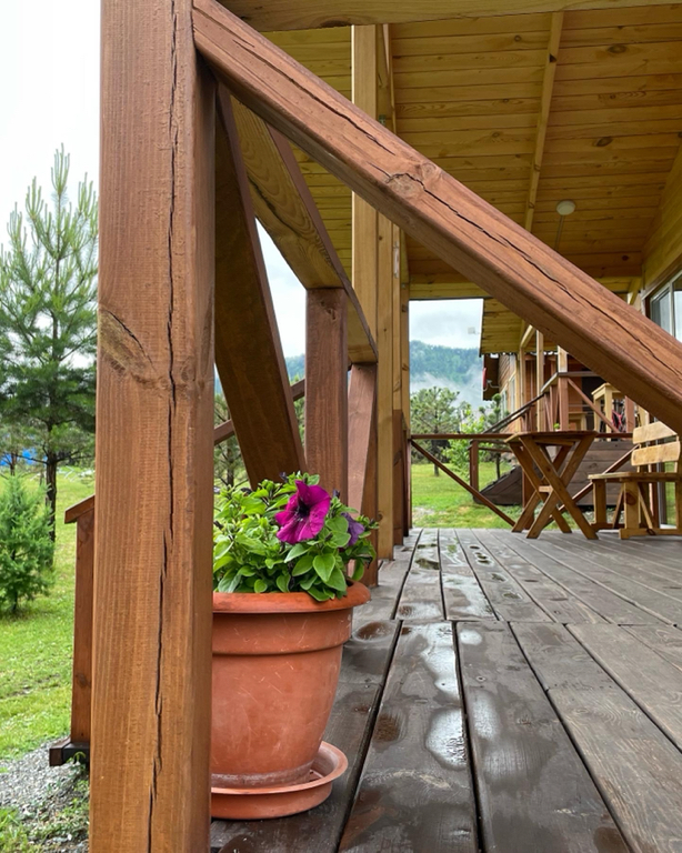 Фото Радость