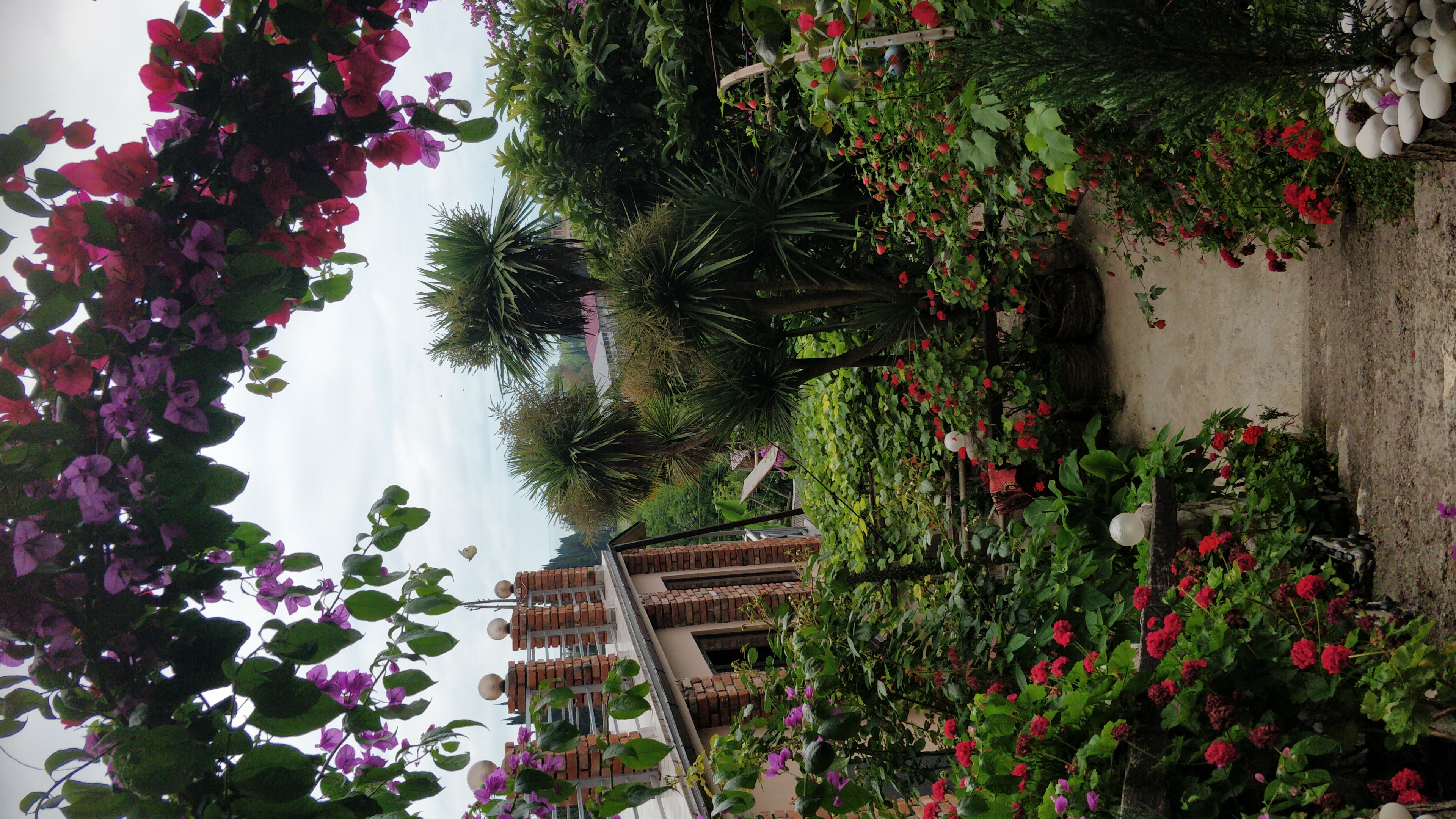 Фото Эль Платано