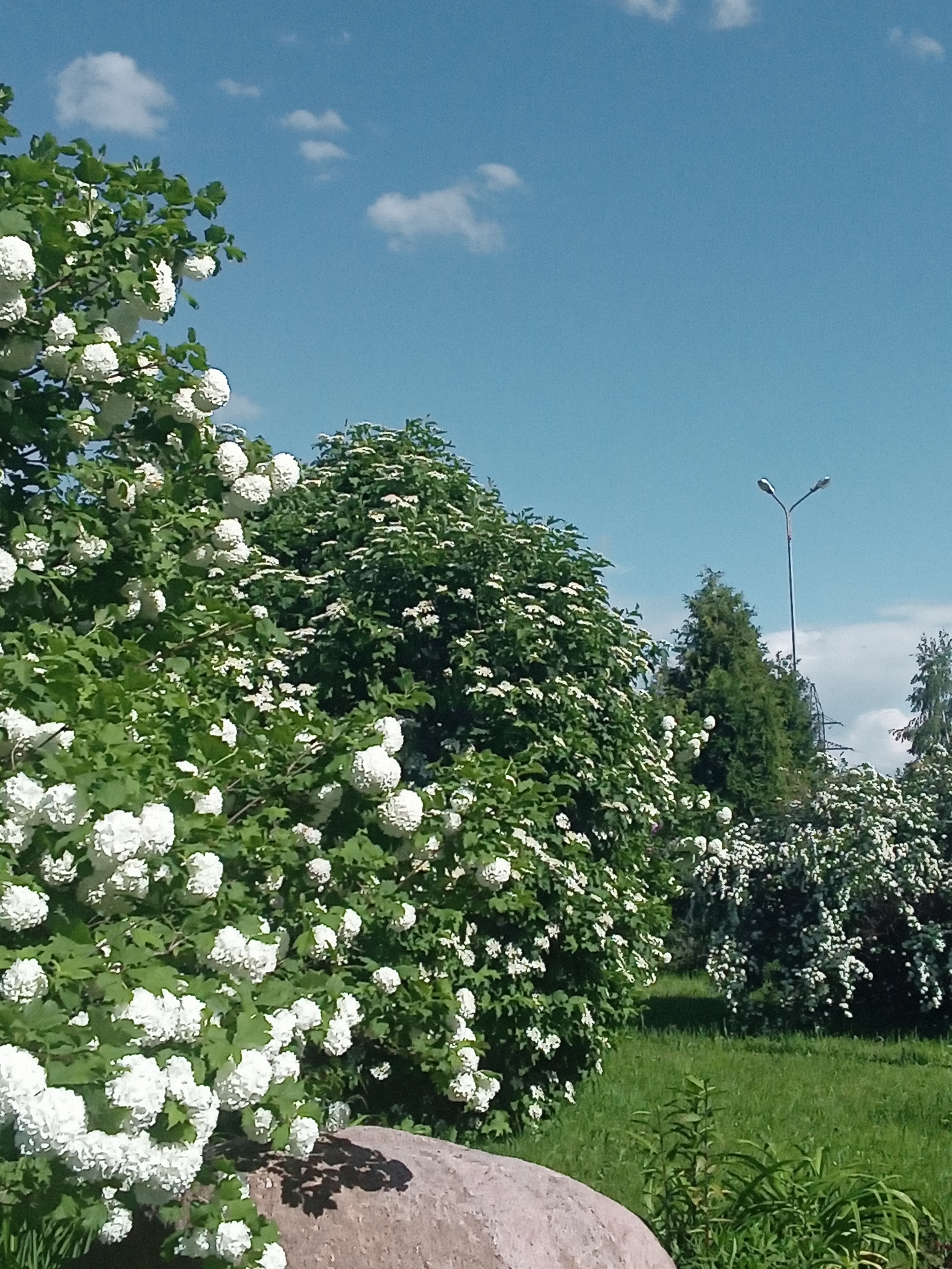 Фото Ярославское подворье