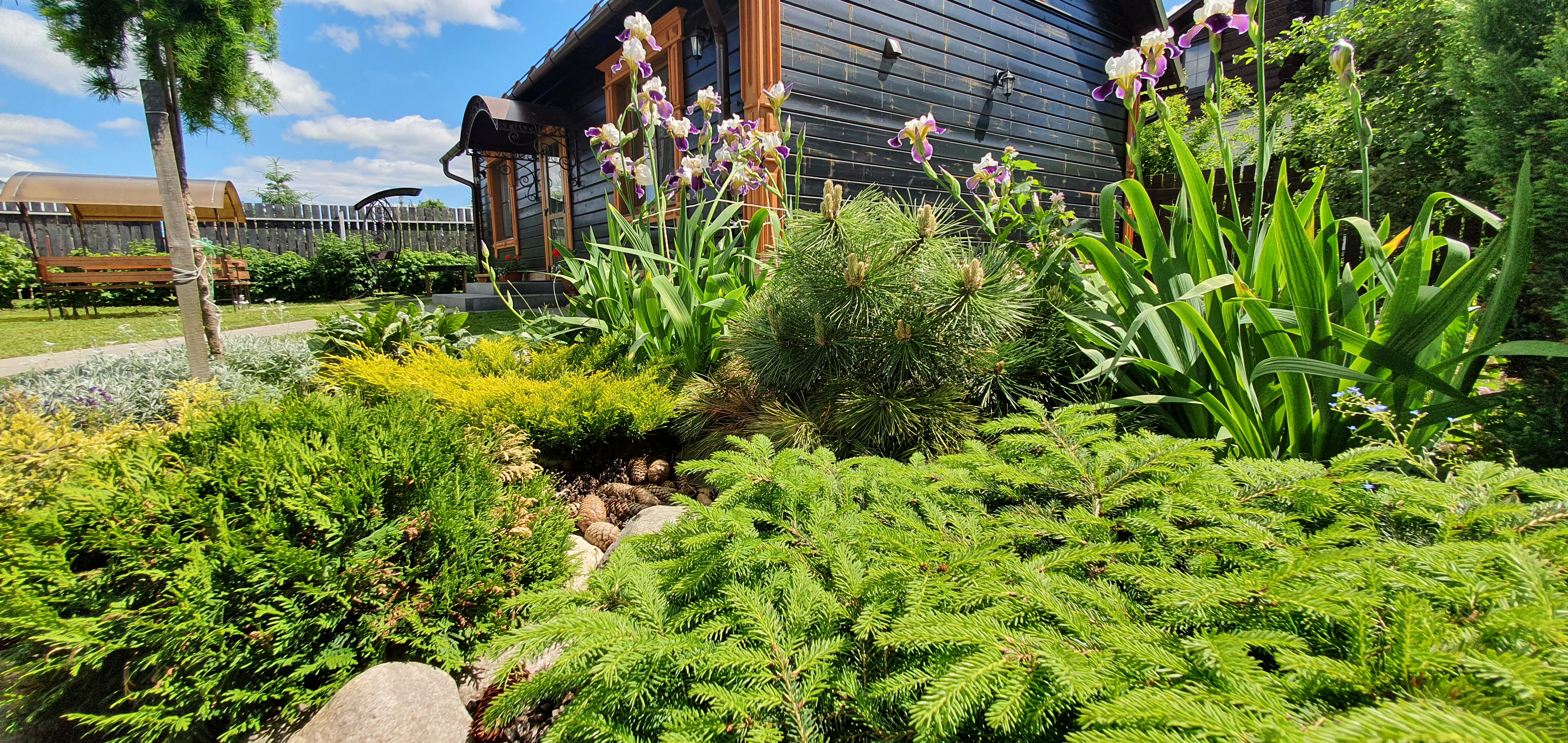 Фото Любимый Суздаль