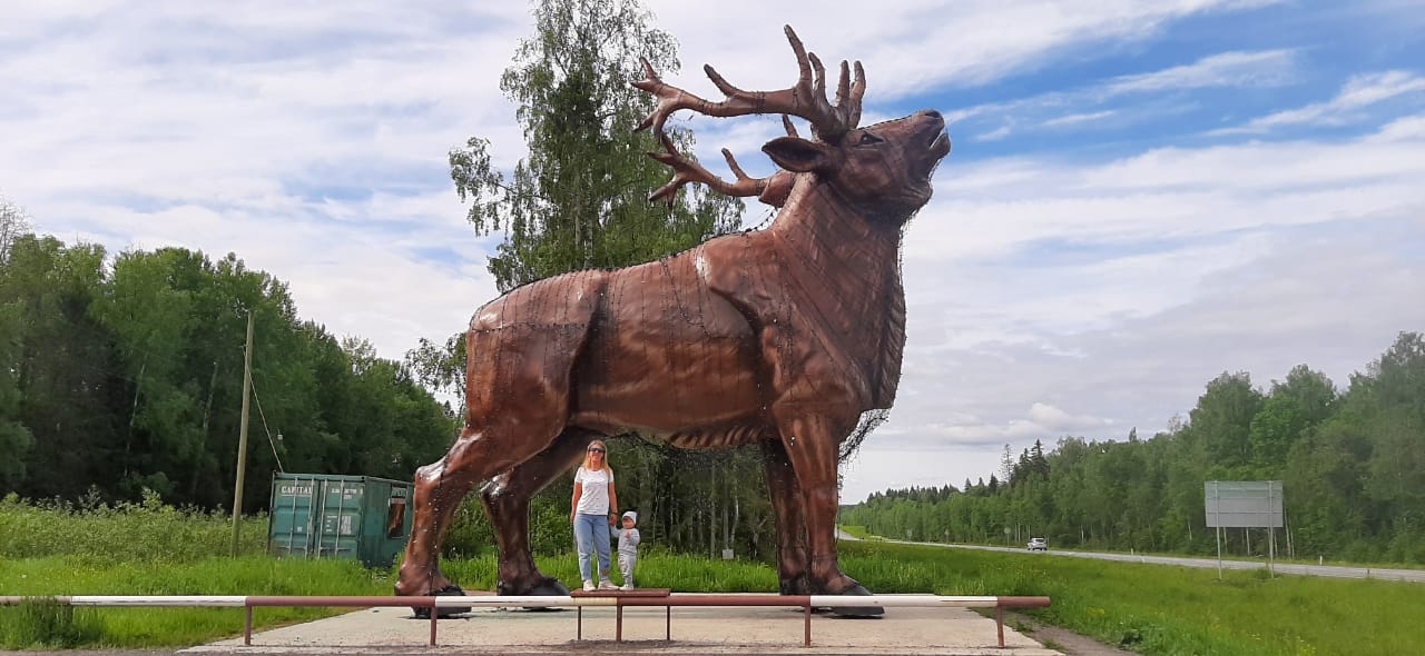 Фото Отель-клуб Гардарика