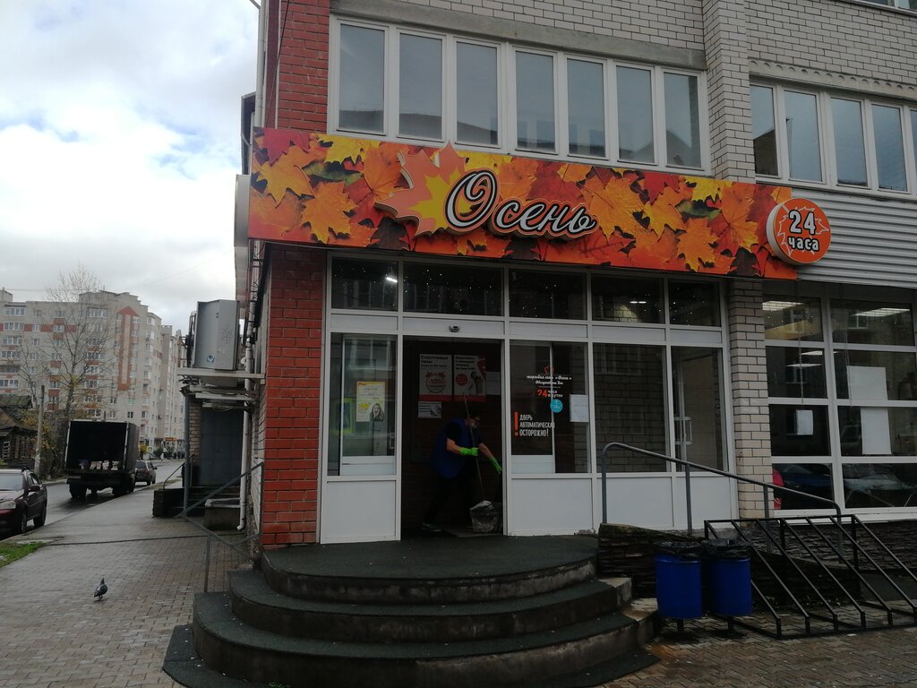 Осень Сеть Магазинов Великий Новгород
