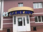Camelot (Lugovaya ulitsa, 3А) ، فندق