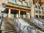 Pribaykallesproyekt (Irkutsk, ulitsa Rozy Lyuksemburg, 150), gestión forestal, reforestación