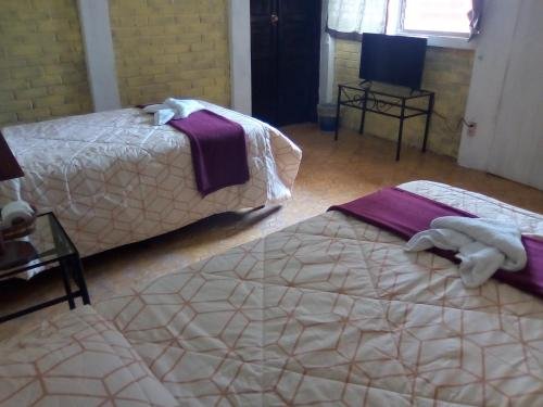 Фото Hotel Vista San Francisco