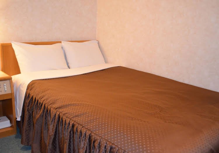 Фото Southern Cross Inn Matsumoto