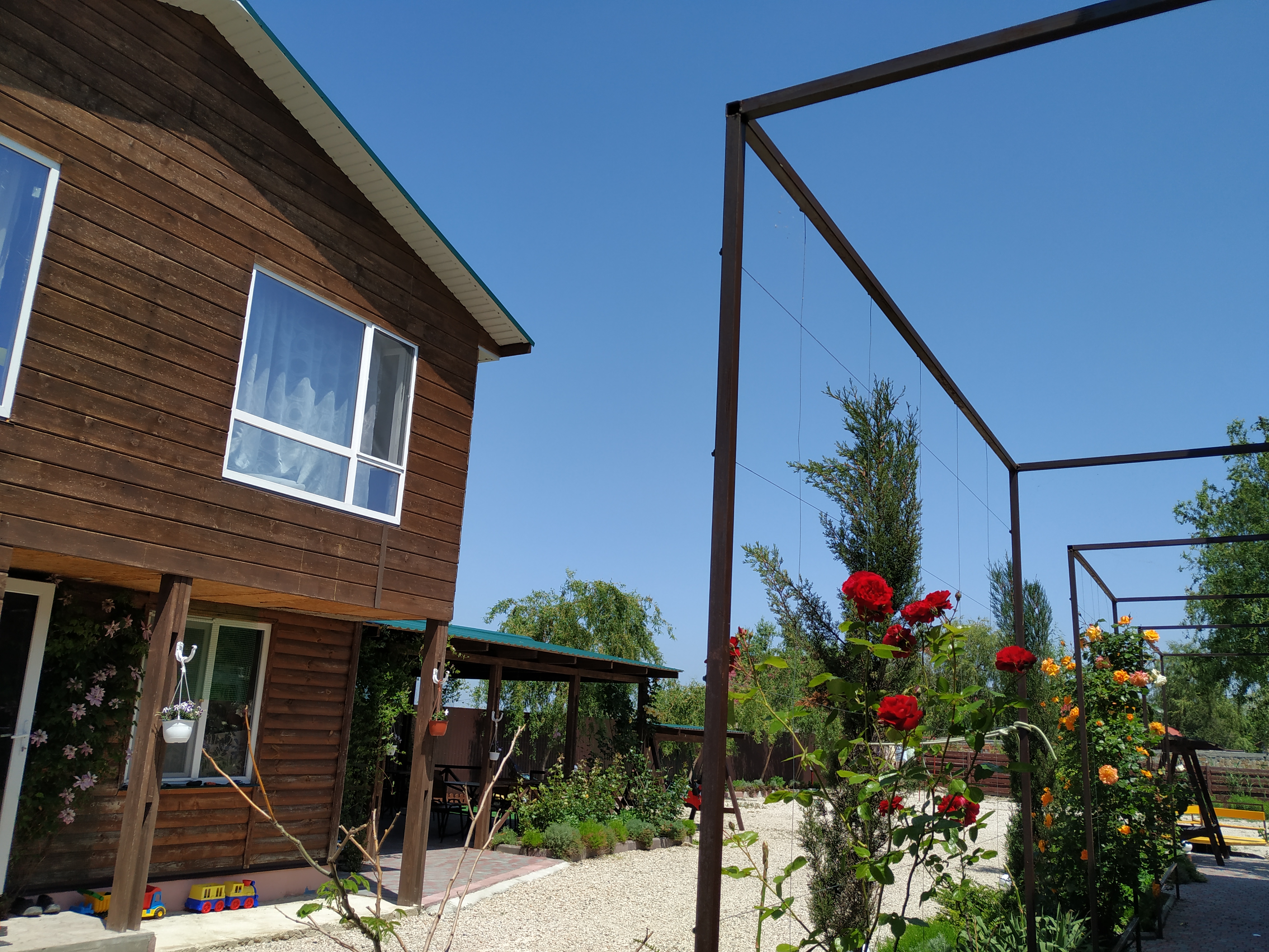 Фото Хороший гость