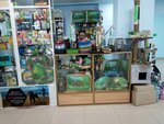 Товары для животных (Khuzangaya Street, 22), pet products wholesale