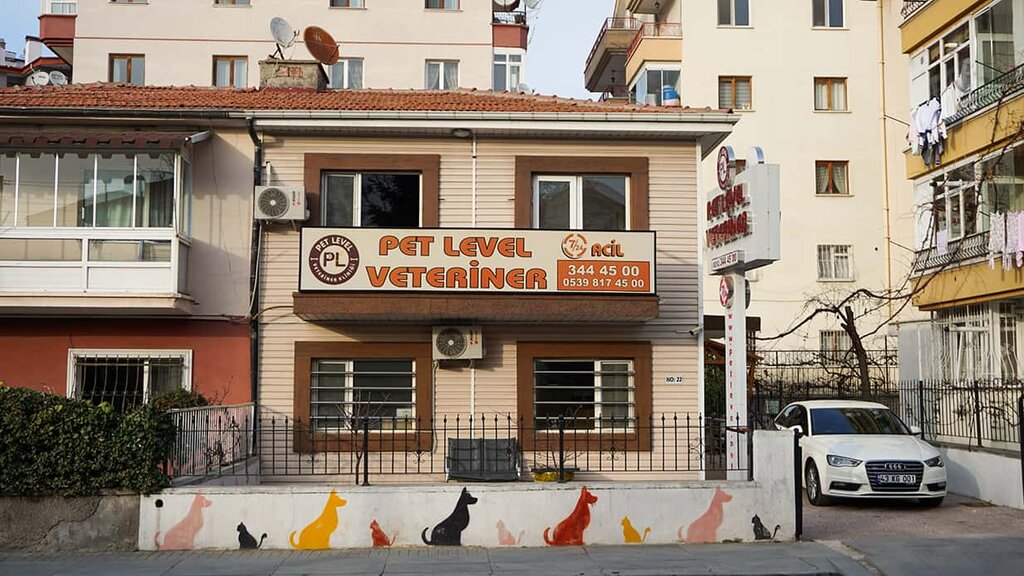 Veterinary clinic Pet Level Veterinary Clinic - Keçiören Ayvalı, Ankara, photo
