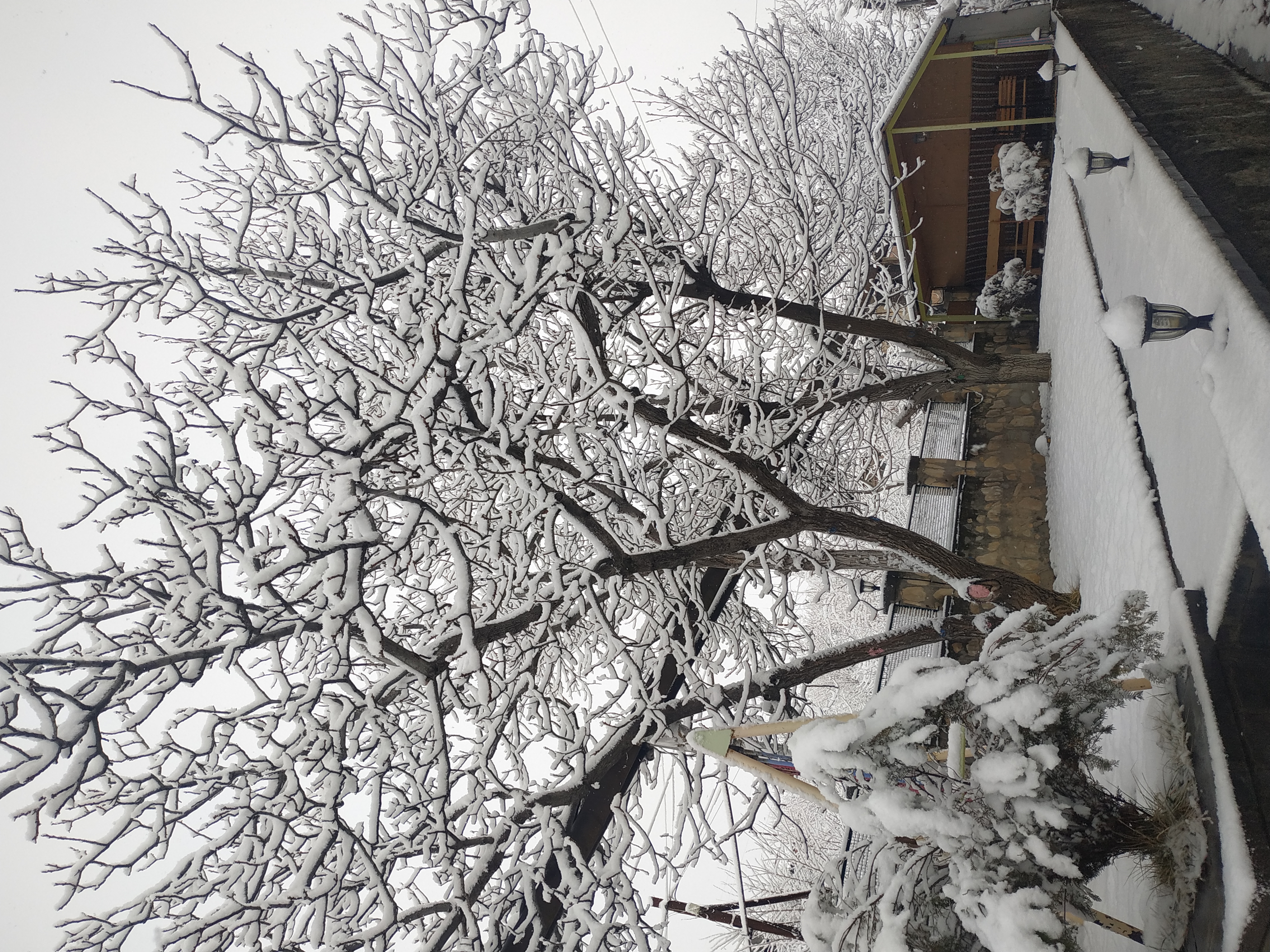 Фото Guest house Nataly