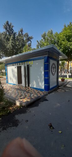 Kamon bilan porno blowjob