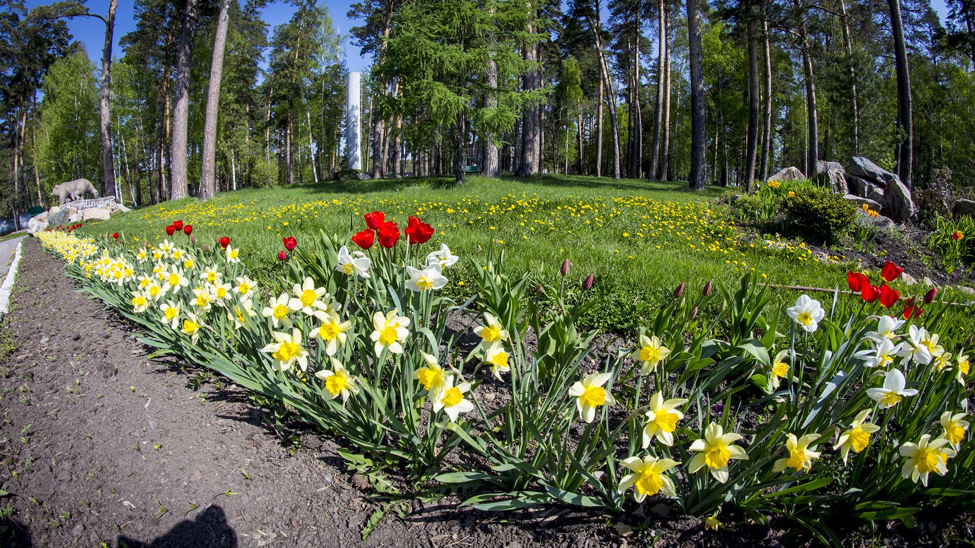 Фото Барнаульский