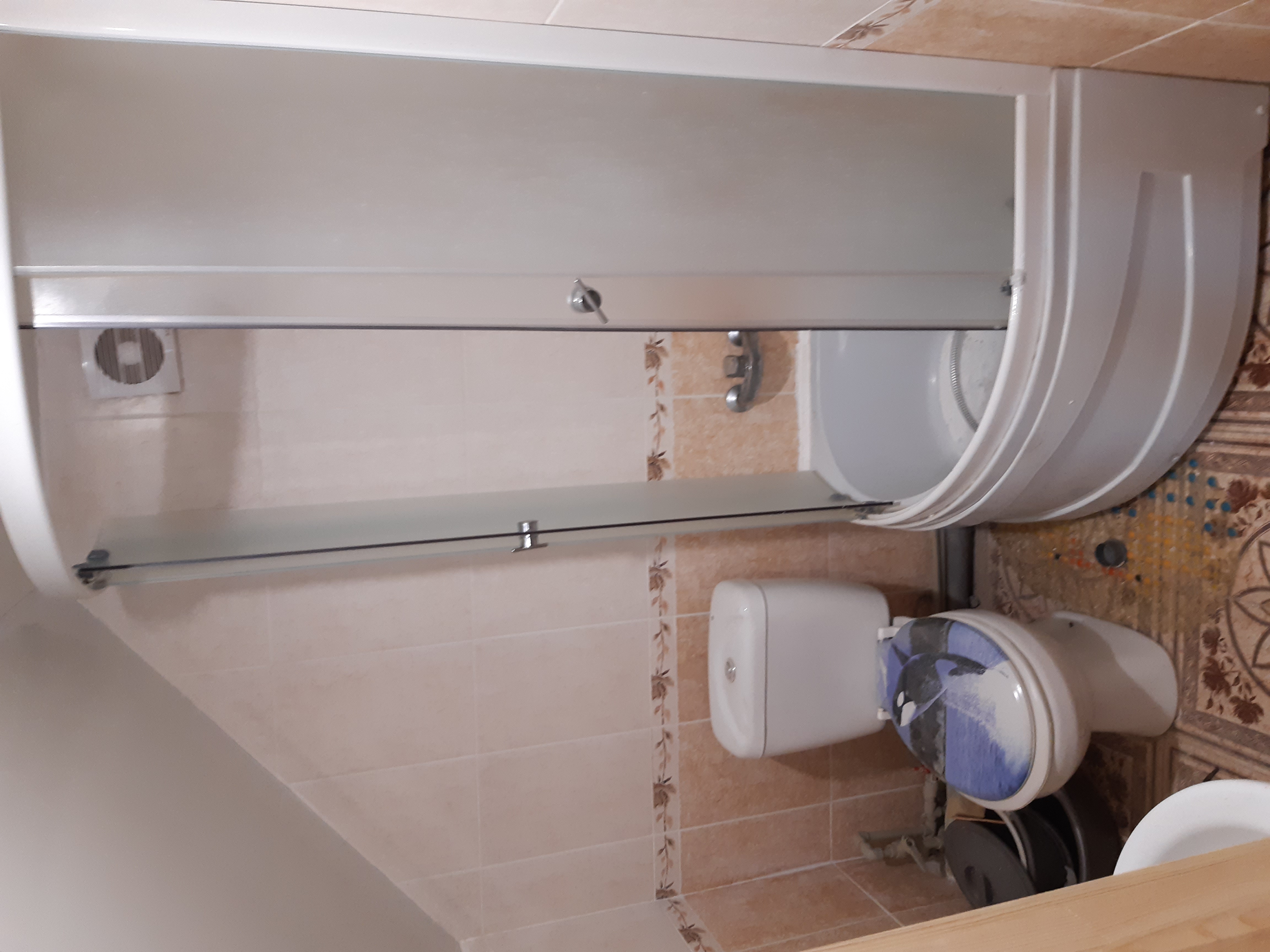 Фото Белая Чайка