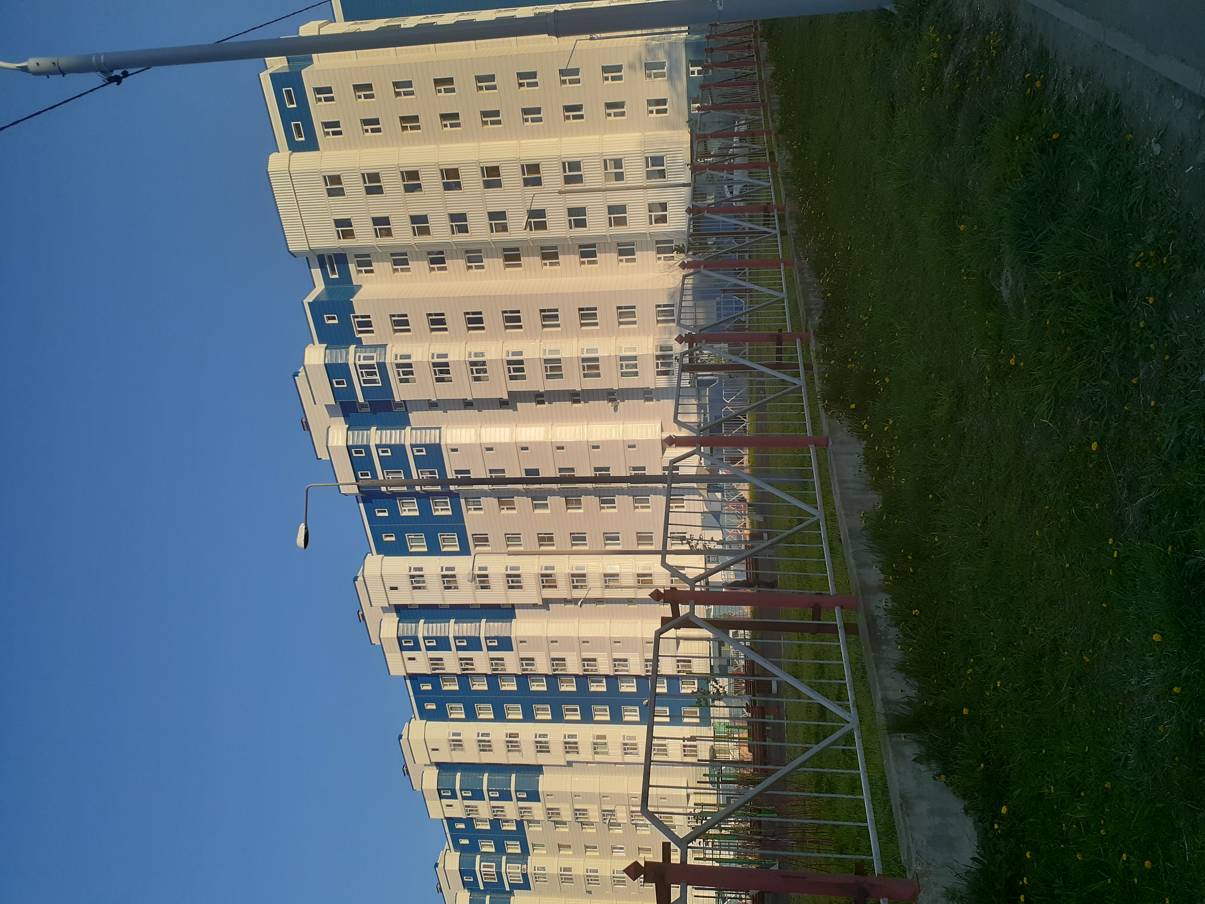 Фото Овсянка