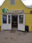 Каштан (Kashtanovaya ulitsa, 21А) ، محل بقالة