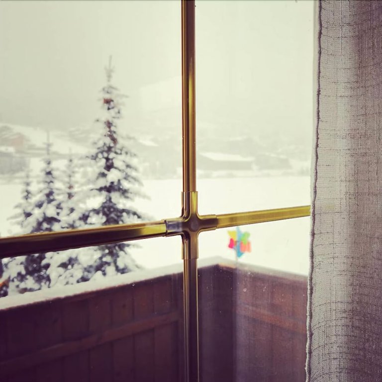 Фото Chalet Alpine Dream