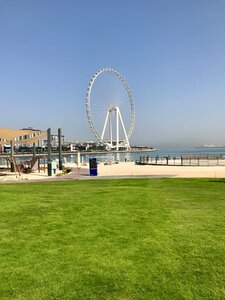 Гостиница Stella Di Mare Dubai Marina