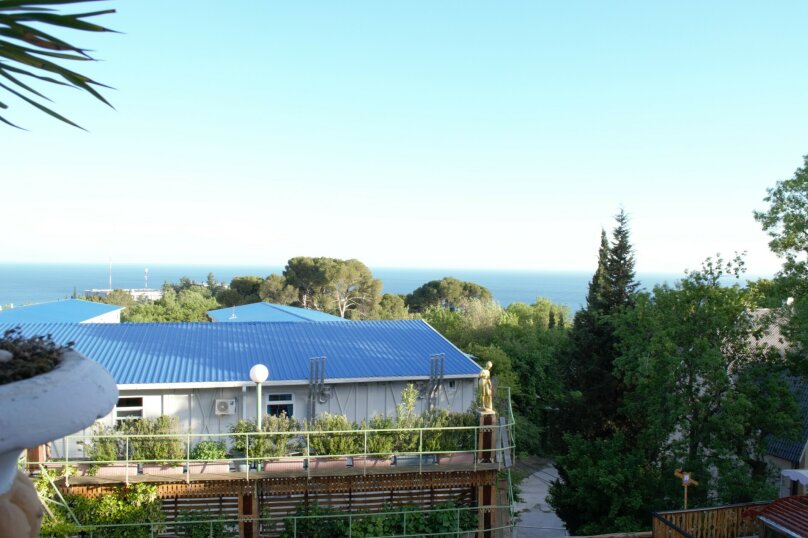 Фото Медный всадник