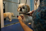 ZooFresh (9th Quarter, Tupoleva Boulevard, 11), pet salon