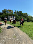 Rancho (selo Verkhniy Yurt, 3), horse riding