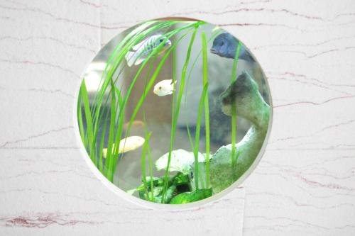 Фото Stadthotel Kassel