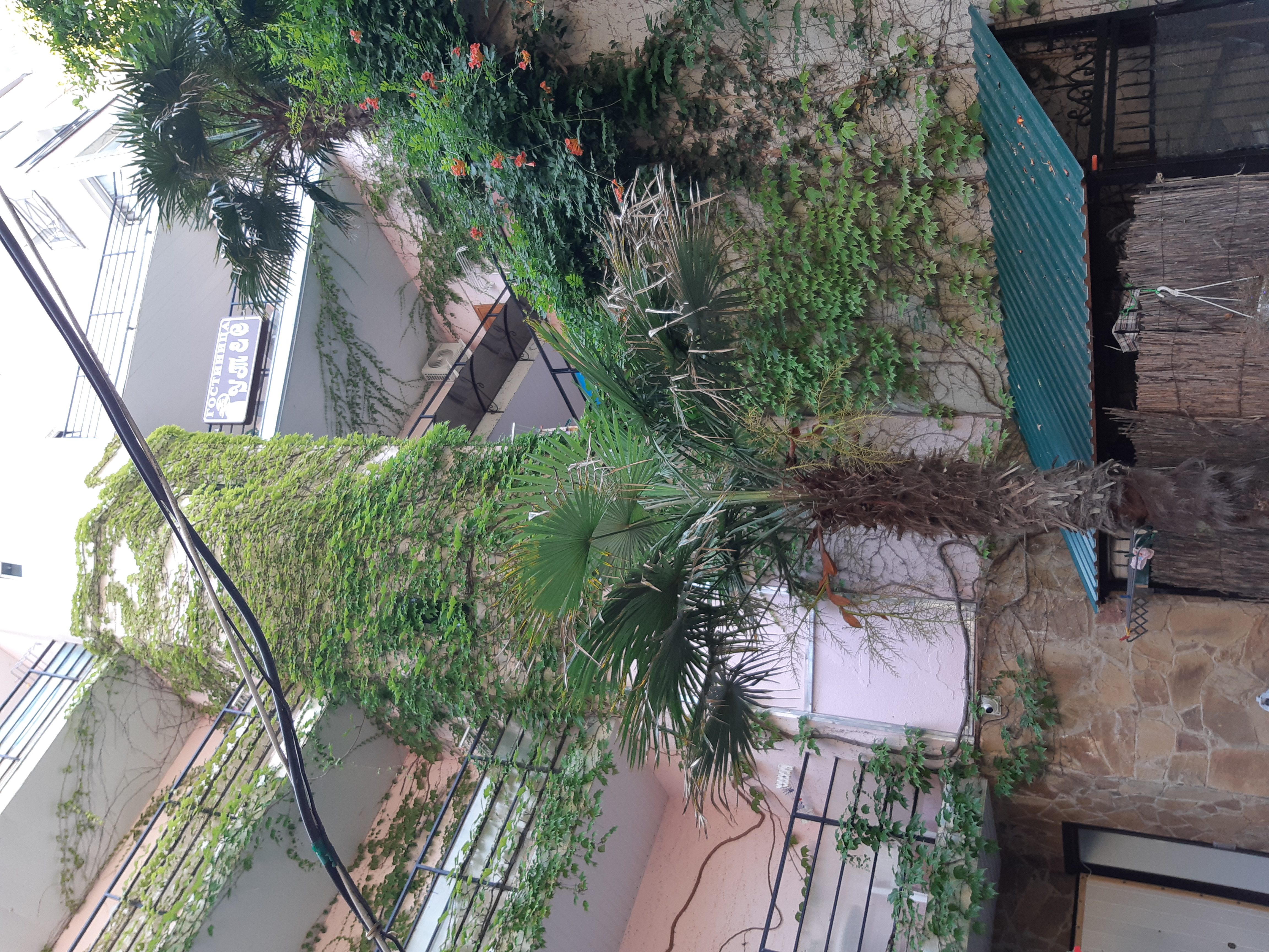 Фото Утёс-Арт