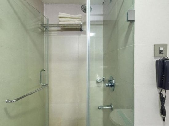 Фото Hotel Indraprastha