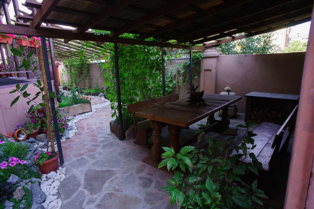 Фото Виноград