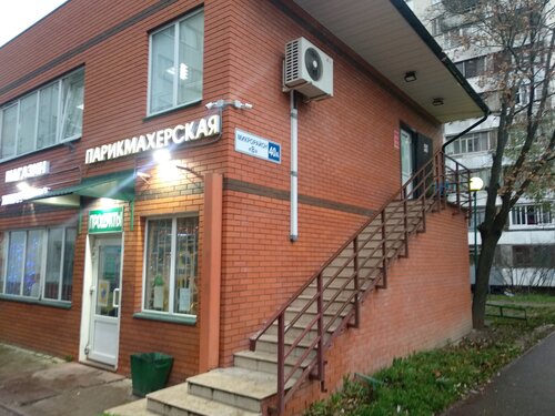 Газель в троицке