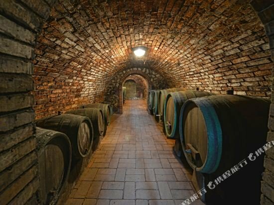 Hotel Apartmány Belveder, South Moravian Region, photo