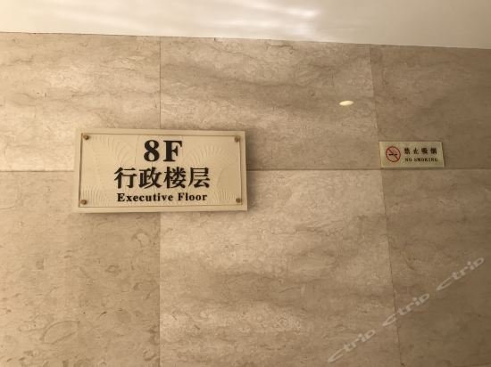 Фото Conifer Garden Hotel