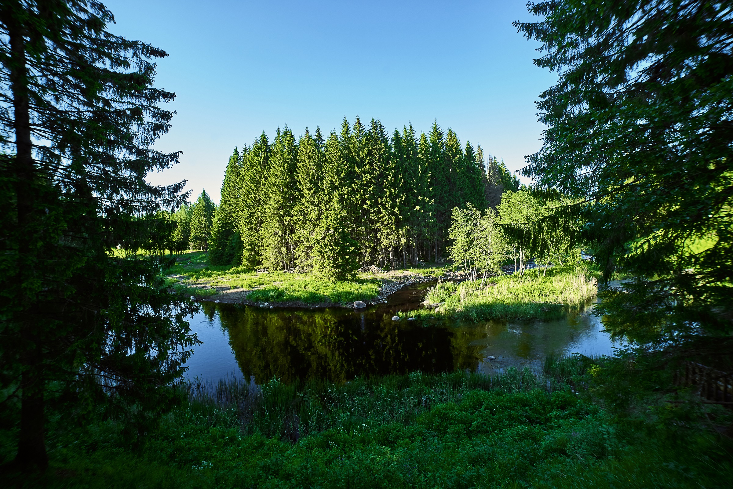 Фото Мазаная Горка