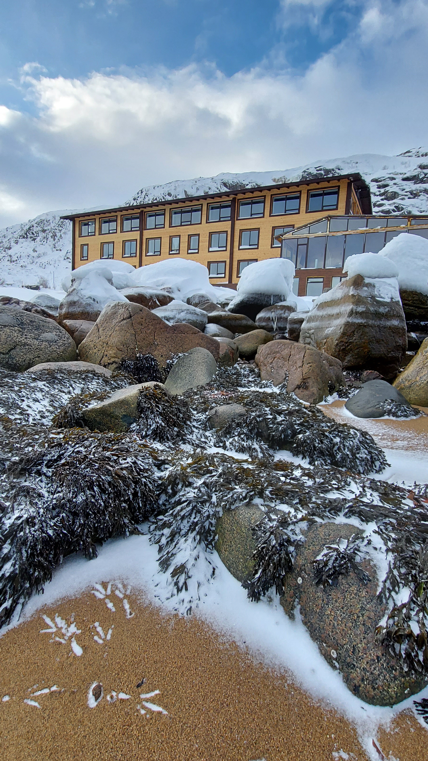 Фото Cedar Grass Териберка