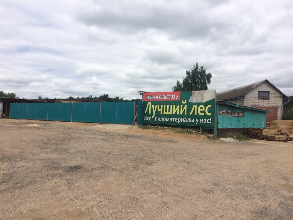 Лесозаготовка, продажа леса Мирнат, Минская область, фото