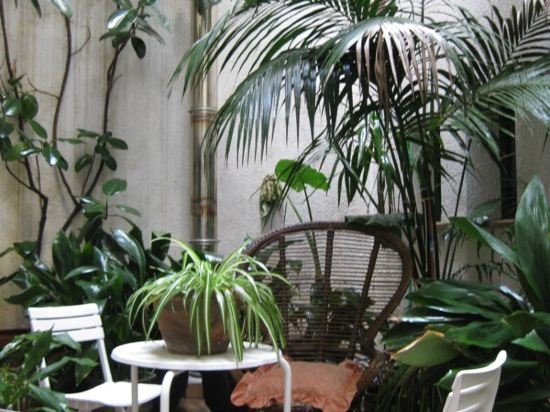 Фото Hotel Casa Mas