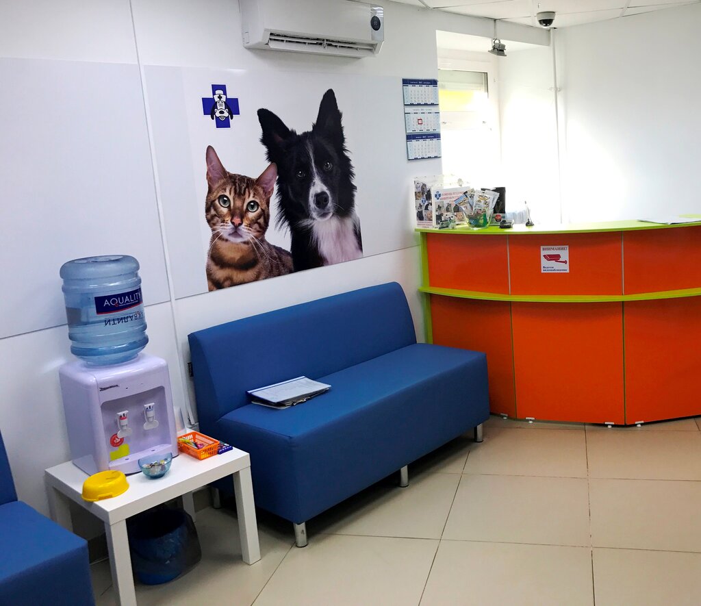 Ветеринарная клиника Вет Гуффи, Ижевск, фото