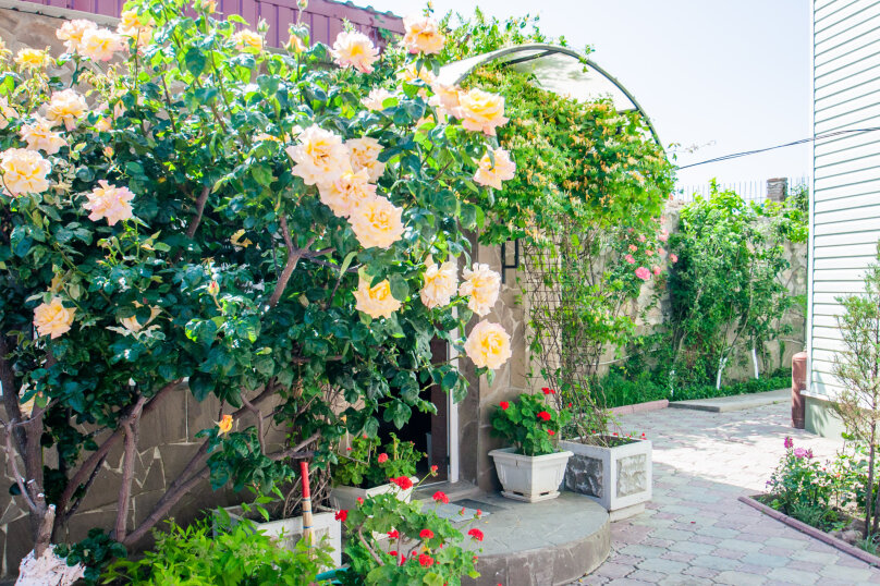 Фото Килова Гора