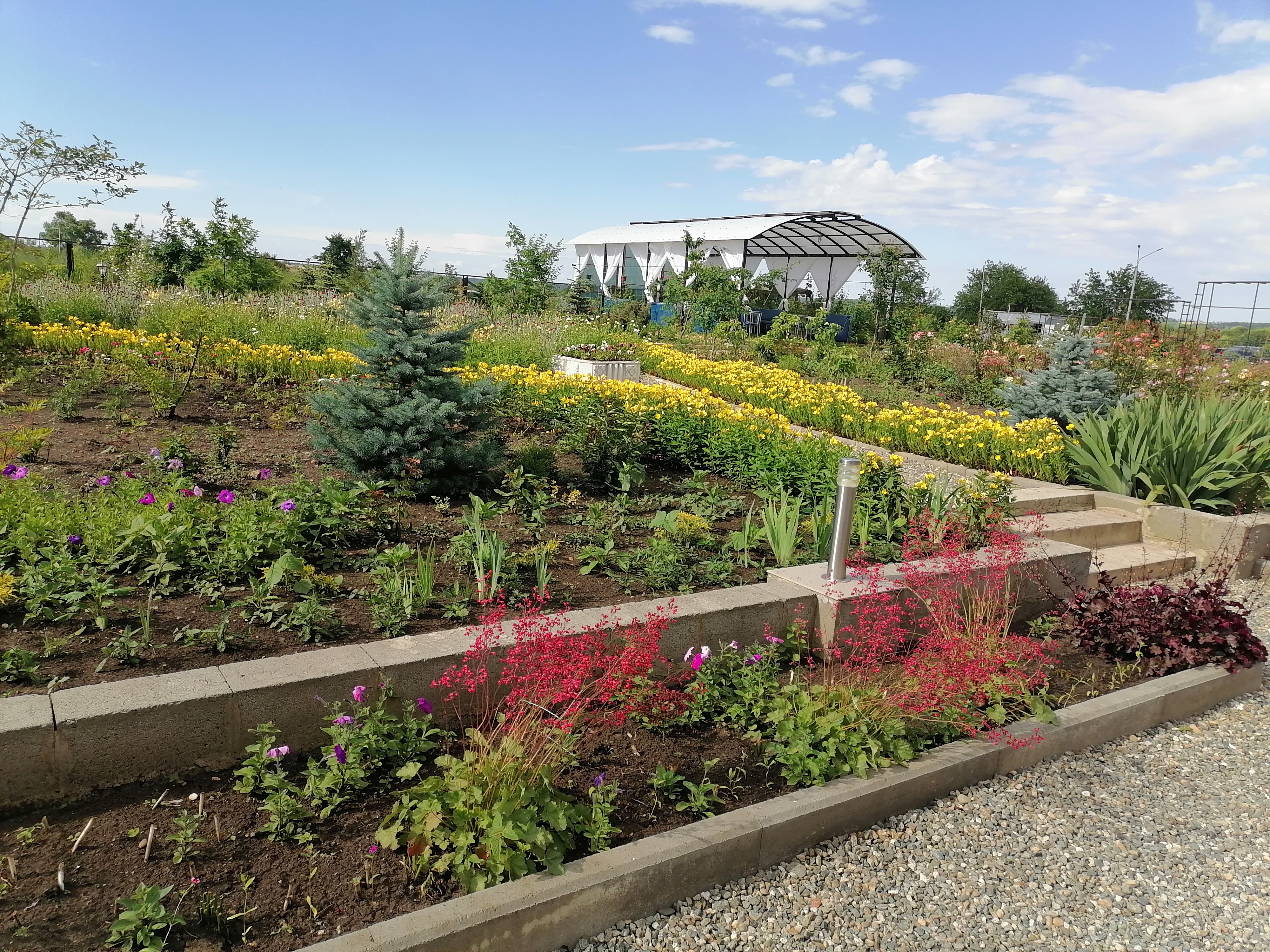 Фото Аква Тоника