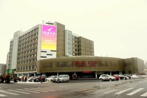 Гостиница Shenyang Airport Hotel