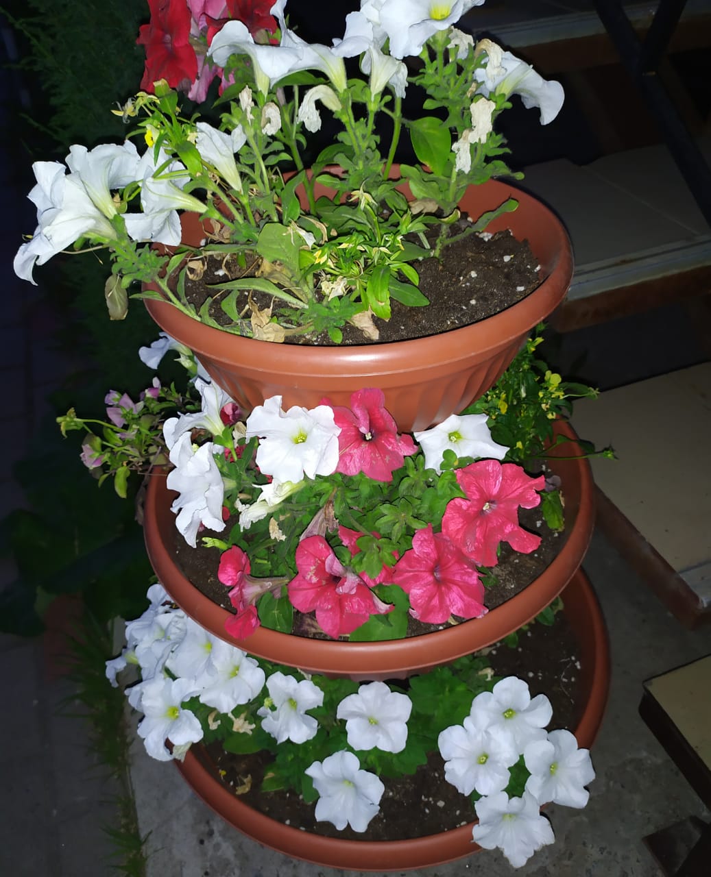 Фото Флогистон