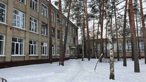 Общеобразовательная школа Средняя общеобразовательная школа № 98, здание 1, Москва и Московская область, фото