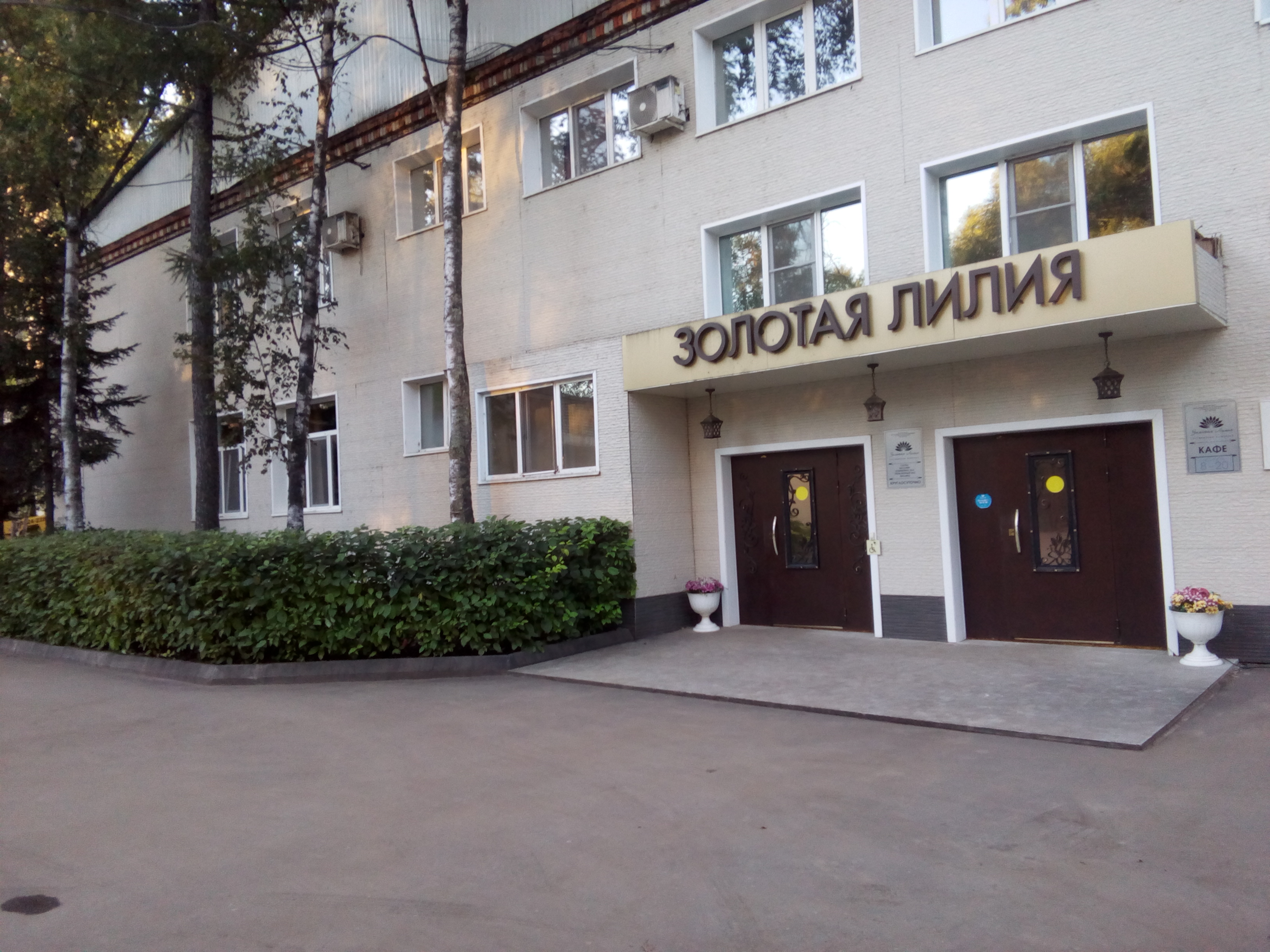 Фото Золотая Лилия